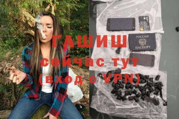 гашик Володарск