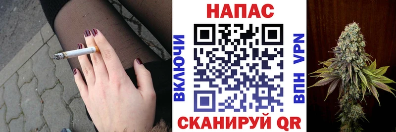 Шишки марихуана сатива Нерехта